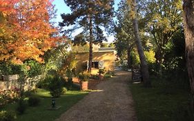 Appartement Fond De Jardin 1 Etage